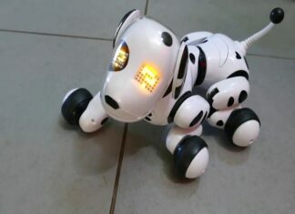 What An Electrical Dog Fencing Can Does For You Personally Electrical Dog