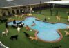 The Right Boarding Facility Can Offer the Peace of Mind You Need and Deserve boarding facilities