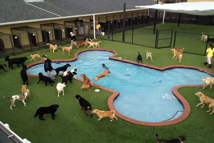 boarding facilities boarding facilities