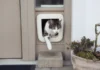 6 Reasons For Installing A Cat Flap for Your Feline Friends Cat Flap