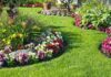Garden Design Tips For Summer Garden Design