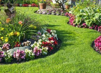 Garden Design Tips For Summer Garden Design