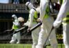 What Can You Expect From a Pest Control Team? Pest Control Team