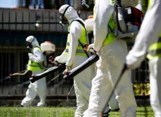 What Can You Expect From a Pest Control Team? Pest Control Team