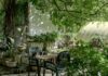 4 Tips To Spiff Up Your Backyard Spiff Up Backyard
