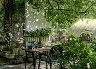 4 Tips To Spiff Up Your Backyard Spiff Up Backyard