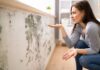 Different Types of Molds and the Importance of Mold Remediation in Omaha Molds