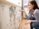 Different Types of Molds and the Importance of Mold Remediation in Omaha Molds