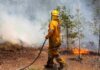 True Safety: Why Fire Attenuation Screens Are Vital In Australia Fire Attenuation