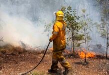 True Safety: Why Fire Attenuation Screens Are Vital In Australia Fire Attenuation
