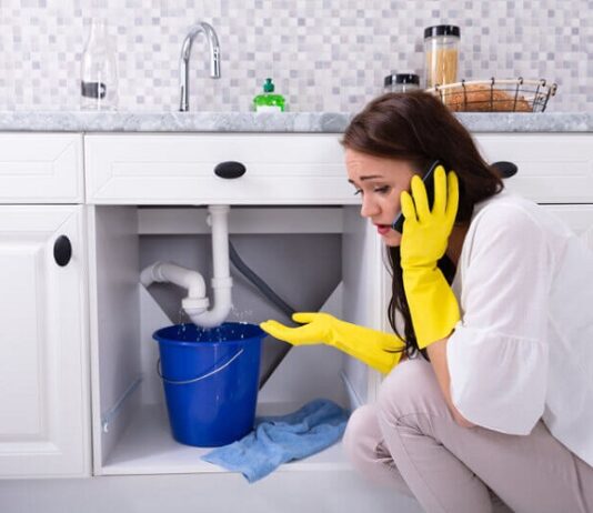 Pipe Predicaments: A Guide on Addressing Plumbing Issues Plumbing Issues