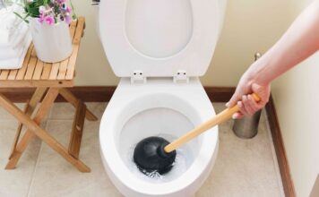 Cleaning Tips That Could Harm Your Toilet Toilet