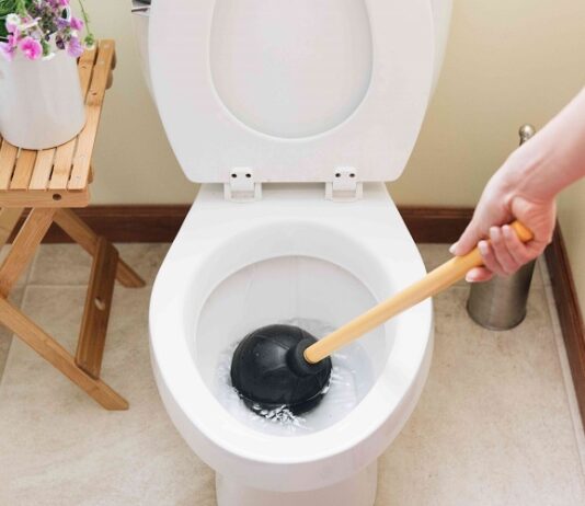Cleaning Tips That Could Harm Your Toilet Toilet